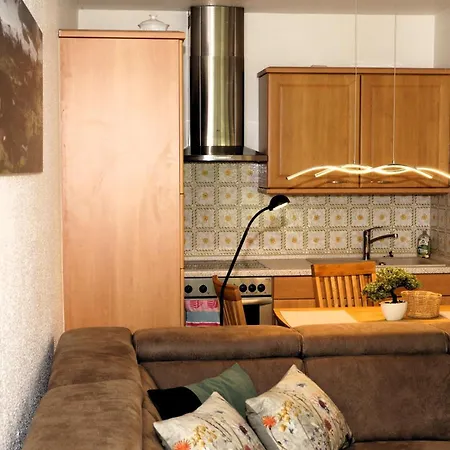 Komfort-ferienwohnung Am Paradies 66 A Διαμέρισμα Bad Lauterberg