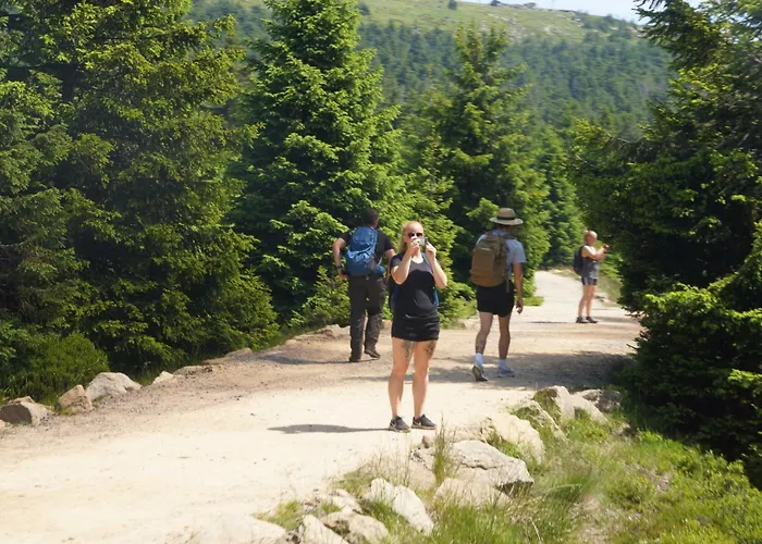 Komfort-ferienwohnung Am Paradies 66 A 公寓 巴特劳特堡